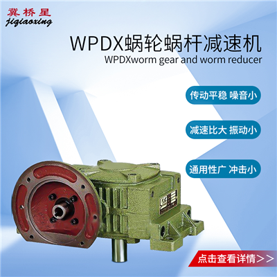 蜗轮蜗杆减速机-WPDX型蜗轮蜗杆减速机