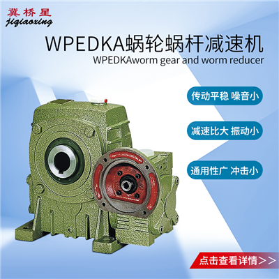 蜗杆减速器-WPEDKA型蜗杆减速器